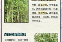 水竹水培与土培——哪种更适合？（水竹水培和土培的优缺点比较）