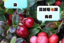 蔓越莓喜欢生长在什么地方？（探寻蔓越莓喜欢的生长环境）