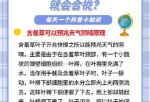 碰到含羞草的叶柄，会发生什么奇妙的事情？（解密含羞草的神奇反应及其原因）