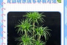 龙血树扦插的消毒方法（科学有效的消毒步骤，保障扦插成功率）