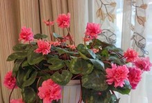 如何延长鲜花花束的保鲜时间（细节决定一切，关键是保湿）