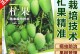 芒果种植技术与管理方法高产栽培技术（掌握芒果种植高产技巧，让果园更有收益）