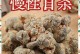 三七的养殖方法与注意事项（了解三七的生长环境与养殖技巧，打造高产高品质的种植基地）