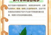 栀子花为何突然干枯发黄？（了解照料技巧，让栀子花再次绽放生机）
