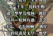 失望的爱——以什么花为主题的花语剖析（探究某种花的象征意义，解读失落情感背后的深层含义）