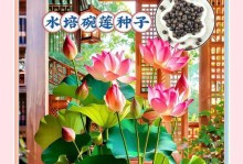 睡莲与碗莲的种植方法（打造绚丽水上花园）