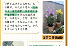 盆栽紫罗兰的种植方法（从选种到养护，打造美丽花坛的必备技巧）