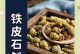 铁皮石斛的“怕冷”特点（了解铁皮石斛的生长环境与适应性）