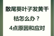 如何解决花叶子尖部发黄的问题（让您的花朵一帆风顺生长）