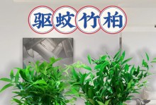 北方水培竹子的养殖技巧（从选种到养护，打造绿色家居的小窍门）