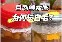 解决自制肥有臭味问题的有效方法（去除自制肥臭味的简易而实用技巧）