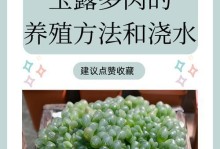 玉露叶子干的制作方法及功效研究（了解玉露叶子干的制作过程和健康益处）