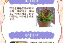 观音莲养护技巧，避免爆盆的秘诀（掌握观音莲生长的关键，远离爆盆困扰）