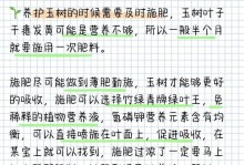 揭秘玉树叶子软软之谜（了解玉树叶子不生长的原因和处理方法）