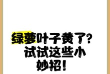 绿萝叶子被虫子咬了怎么办？（拯救被虫子侵害的绿萝，以及“保护”）