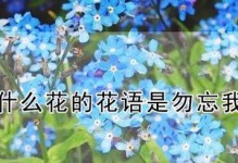 爱在花语中绽放——探究偏爱花的花语（一朵花开，一份情深；一份情深，一生挚爱）