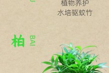 如何养护竹柏，获得最佳效果