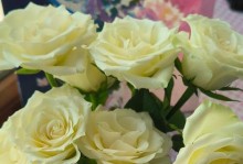 TheLanguageofWhiteRoses（UnlockingtheMeaningbehindWhiteRosesthroughEnglishPhrases）