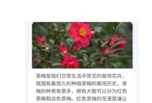 茶梅可扦插繁殖（种植茶梅不再难）