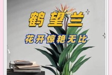 以鹤望兰叶子黄的处理方法（教你如何有效地处理鹤望兰叶子黄的问题）