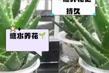 过期奶也能“活”——浇花利用之道（解决废奶难题，为花儿保驾护航）