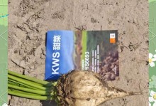 甜菜种植条件与地理适宜区域分析（了解甜菜生长要素，选择适宜地区种植）