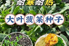 菠菜仔种植指南（从播种到收获，轻松种植自家的菠菜仔）