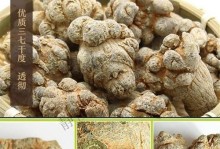 三七药疗的神奇功效（探究三七的药用价值，以及使用技巧和注意事项）