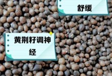 紫金花种子的种植方法与技巧（从种子到盛开）