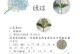 春节花卉养护指南（传统花卉佳肴，以八仙花绣球装点盛宴）