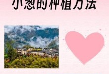 葱的生长环境和生长地方条件（探究葱的生长需要和种植技巧）