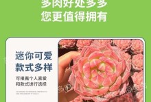 如何科学养护多肉植物（多肉养护的关键技巧与经验分享）