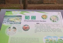 菊苣种植全攻略（从选地到收获，教你如何种植健康美味的菊苣）