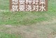 浇花的正确方法（用水的技巧让花儿茁壮成长）