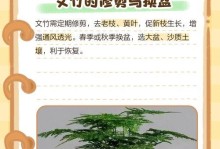 文竹养护指南（打造绿意盎然的室内空间）