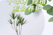 以朱焦干了怎么办？答案在这里！（掌握正确处理朱焦干问题的方法，保护你的家庭和环境健康）