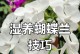 蝴蝶兰花的养护技巧（打造美丽的蝴蝶兰花园，轻松养护蝴蝶兰）