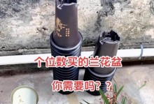 冬季兰花盆的保温方法（保证兰花盆温暖如春的关键技巧）