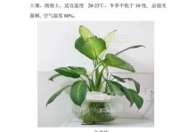 花卉的魅力与养护之道（探索花卉的奇妙世界，学习如何正确照料花卉）