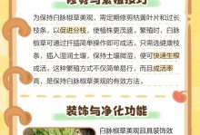 以小椒草怎么繁殖（简易方法快速繁殖小椒草）