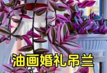 婚礼油画吊兰（如何让你的婚礼油画吊兰成为家中亮丽的焦点？）