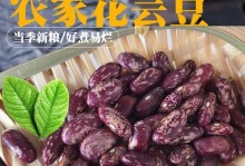 以花腰豆种植方法详解（从选种到收获，一步步教你种植以花腰豆）