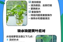 绿萝氮磷钾有机肥的正确使用方法（有效利用绿萝氮磷钾有机肥，打造健康茂盛的绿萝植物）
