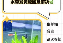 水草的生长周期及其影响因素（探究水草生长周期，从萌芽到成长需要多长时间？）