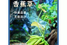 香蕉草的养殖方法与注意事项（打造生态美景，从香蕉草开始）