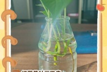 救救绿萝！如何补救烂根蔫的水培绿萝（水培绿萝遇上烂根，教你轻松解决！）