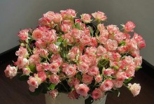 如何正确养护鲜花花束（打造持久鲜艳的花束，关键在于细致呵护）