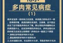 急救指南（冬季保护你的多肉植物免受冻伤的损害）