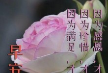 五种花代表祝福，你知道吗？（熟知鲜花传达的意义，定格美好祝福）