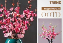 干枝梅开花时间及养护技巧（干枝梅“春寒料峭”如何妥善呵护）